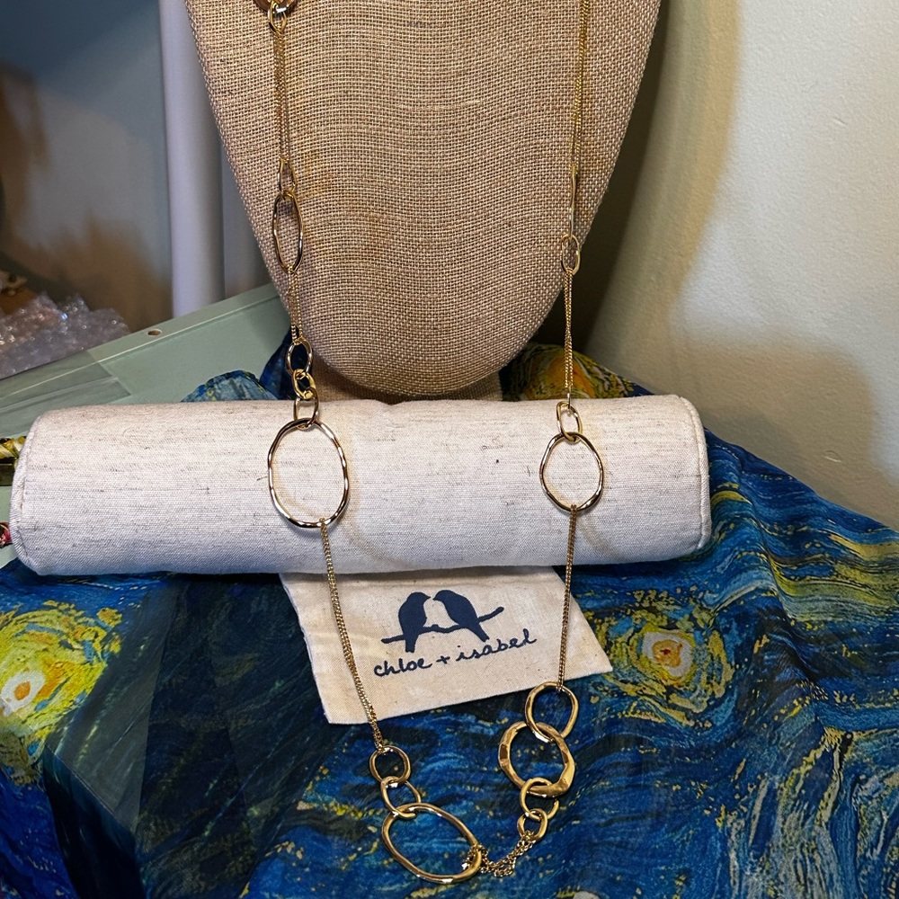 Chloe + Isabel Long Organic Link + Chain Necklace